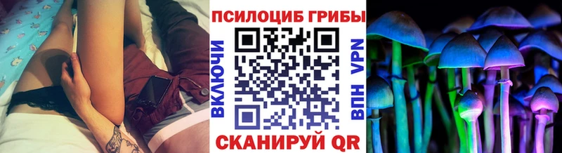 Псилоцибиновые грибы мухоморы  Ахтырский 